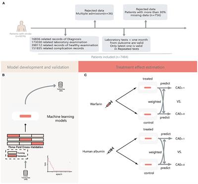 Analyzing and predicting the risk of death in stroke patients using machine learning